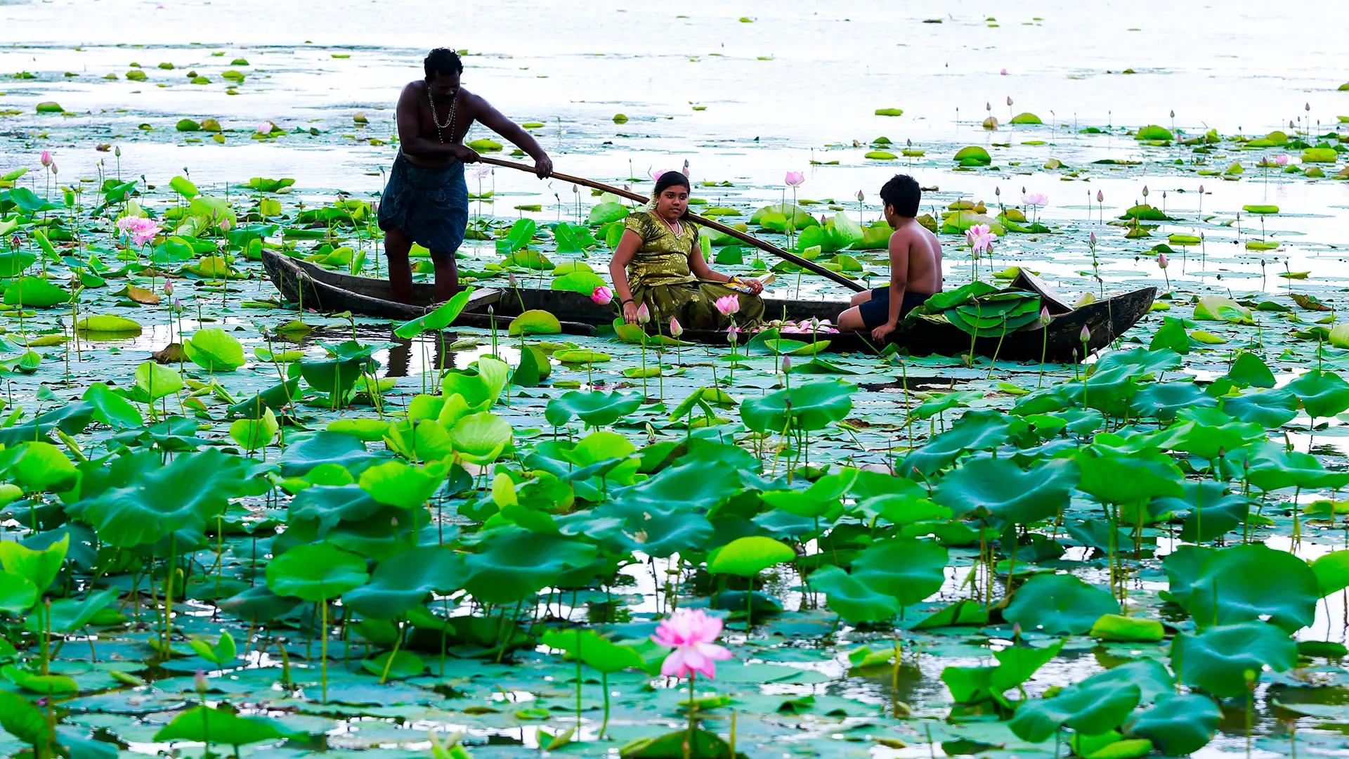 10 Offbeat Attractions in Kerala