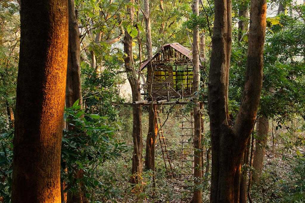 A Tree Hut next to Dhoni Waterfalls | Dhoni