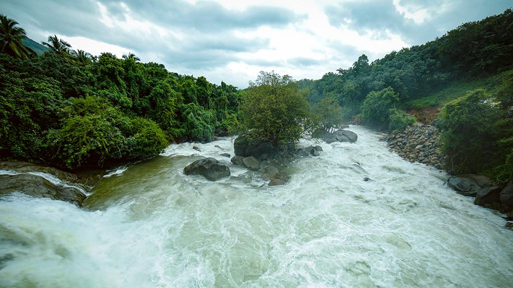 Arippara Waterfalls, Kozhikode