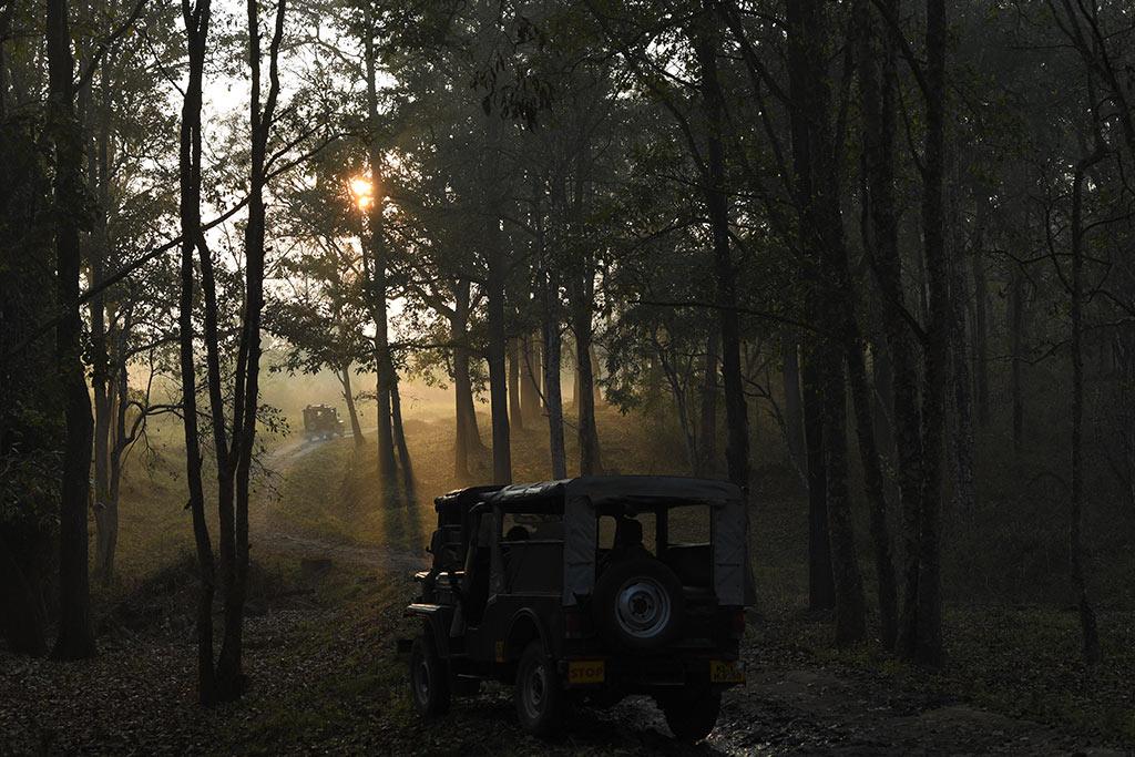 Early morning jeep ride through Muthanga | Wayanad Wildlife Sanctuary