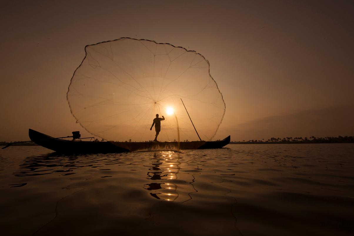 Fishing nets in the backwaters of Kerala