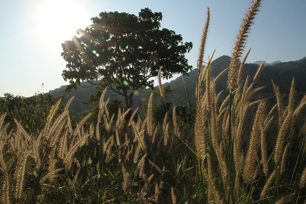 Hill view from Attapady Ghat | Silent Valley National Park