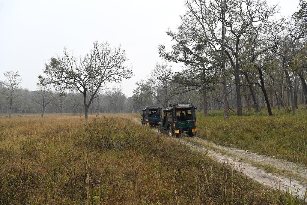 Jeep Safari at Muthanga  | Wayanad Wildlife Sanctuary