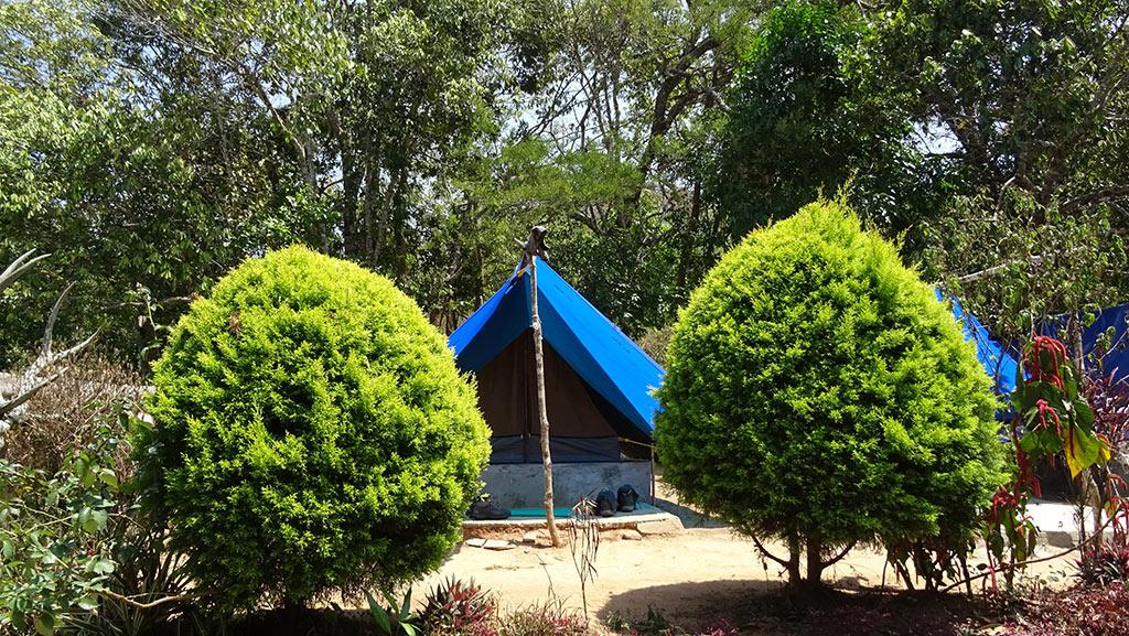 Jungle Camp at Periyar | Periyar Tiger Reserve