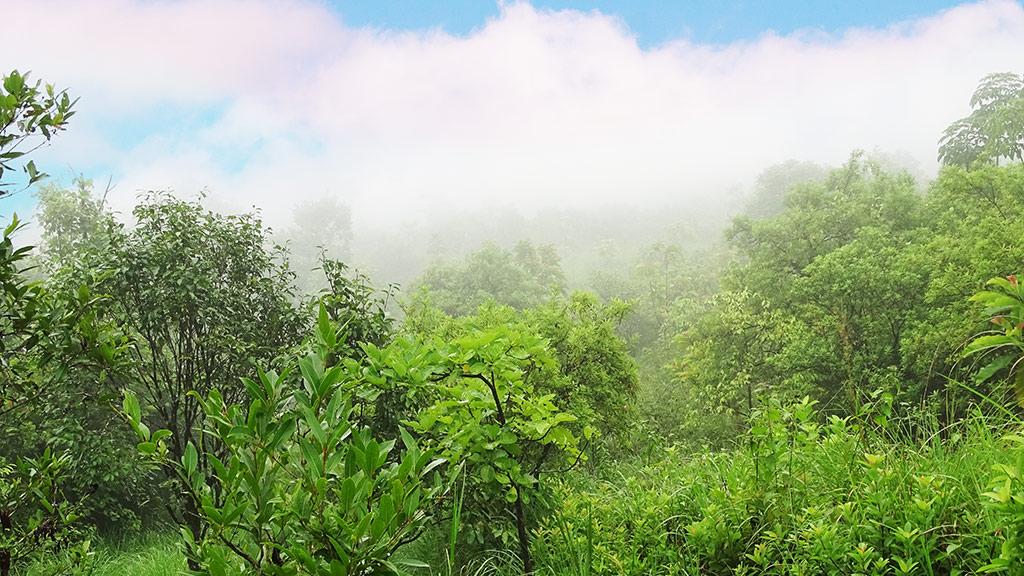 Kottanchery Hills, Kasaragod