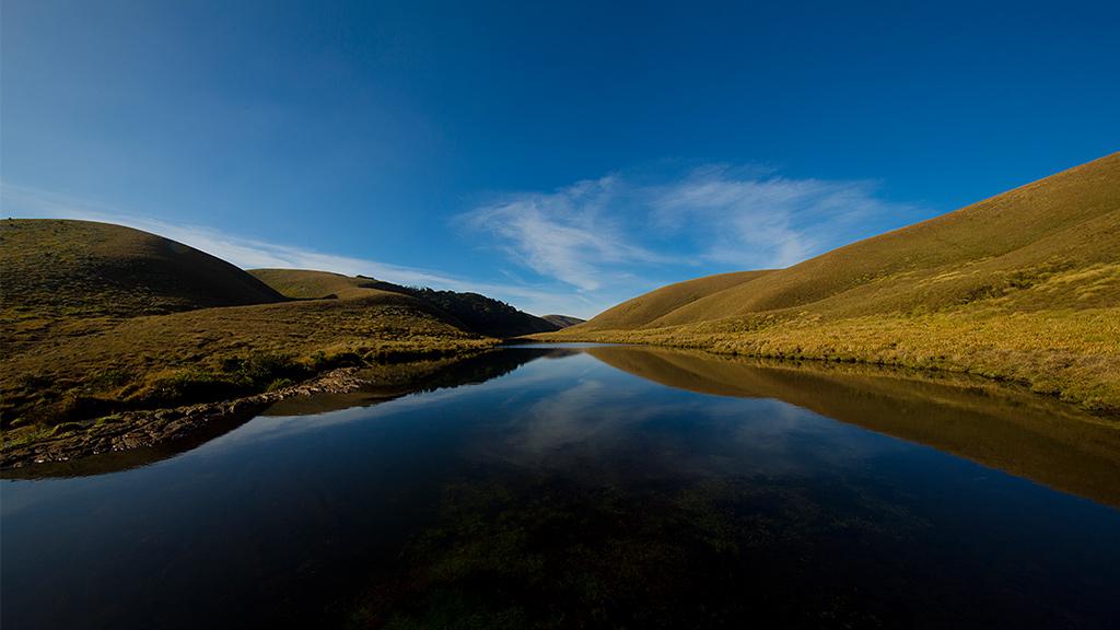 Magical view of Eravikulam | Eravikulam National Park