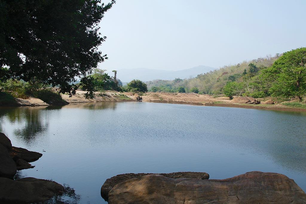 Majestic beauty of Periyar | Bhoothathankettu