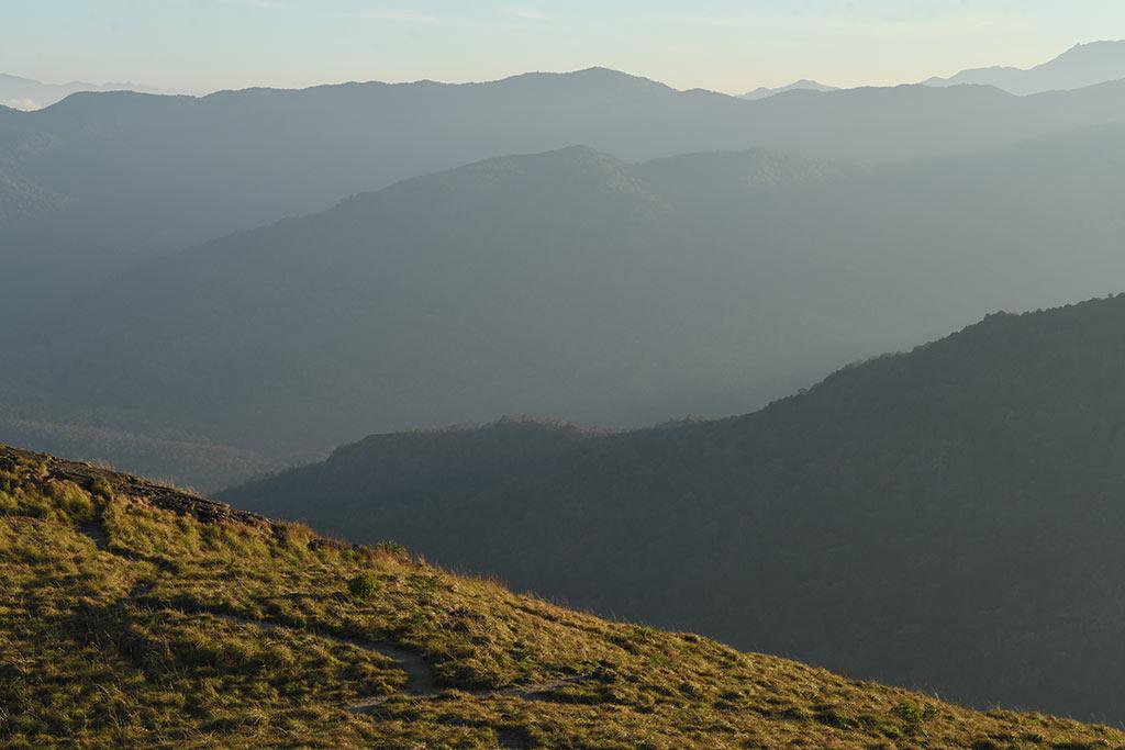 Meadows of Varayadumotta | Ponmudi