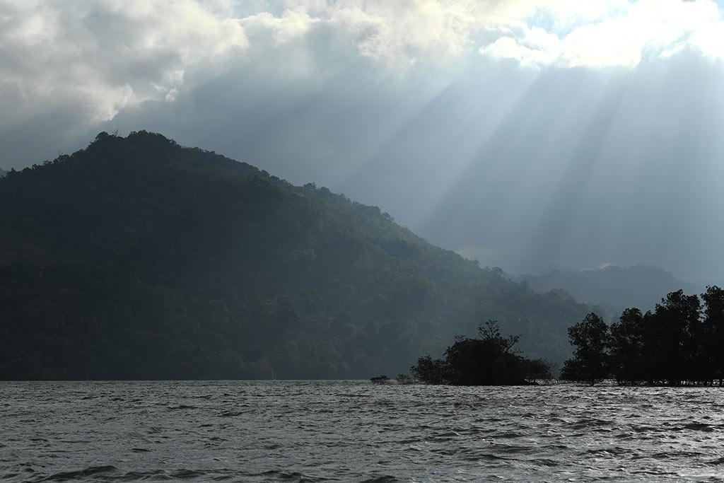 Mighty Western Ghats - a view from Shenduruny forest | Thenmala - Shenduruny