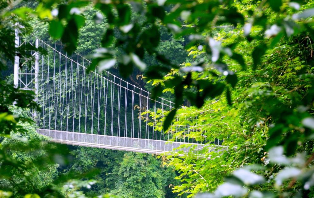 Nilambur's Hanging Bridge | Nedumkayam