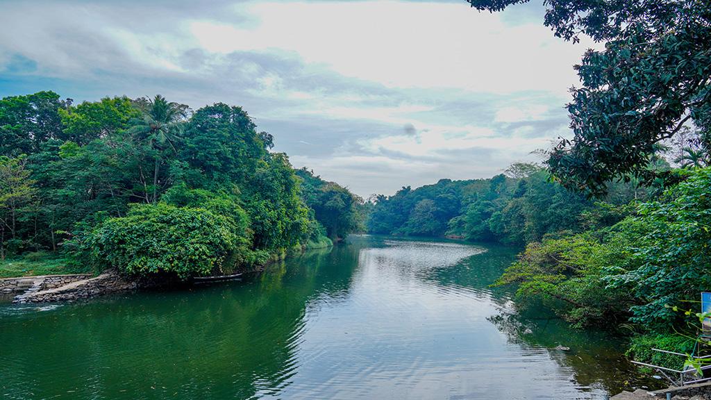 Pamba River