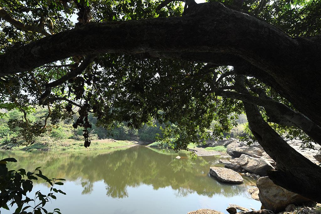 Periyar... slow down here | Bhoothathankettu