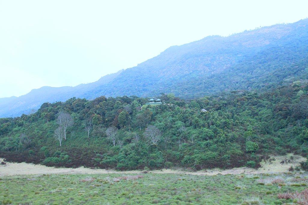 Rich swathe of greenery | Pampadum Shola National Park