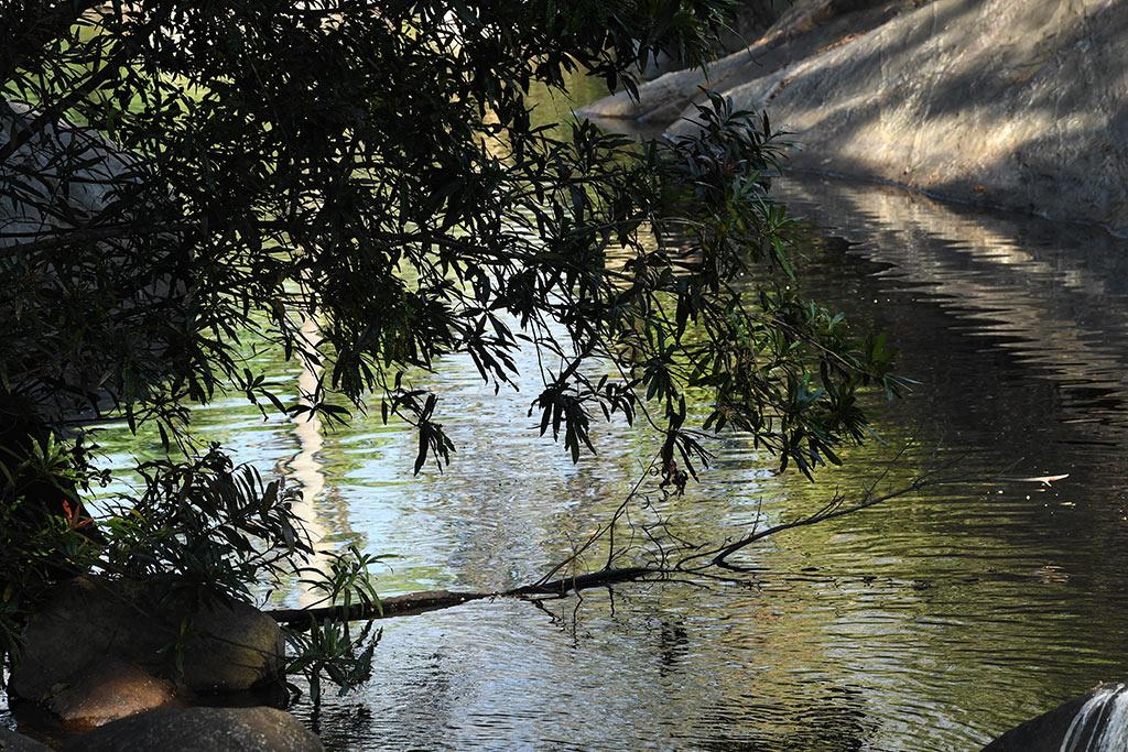 River Kallar | Ponmudi