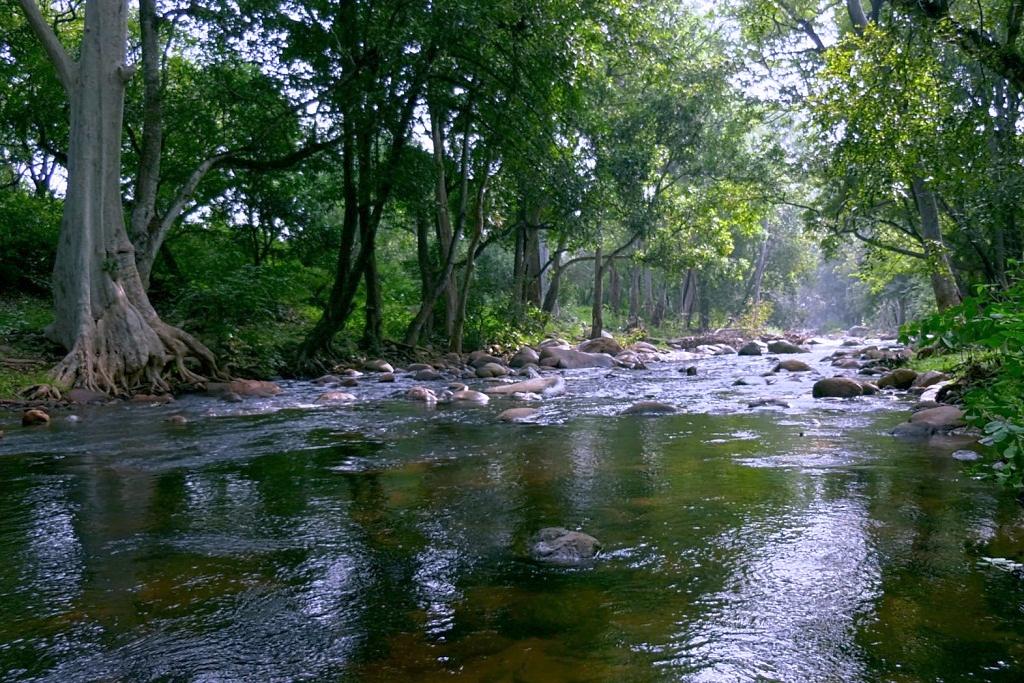 River Pambar inside Chinnar Wildlife Sanctuary | Chinnar