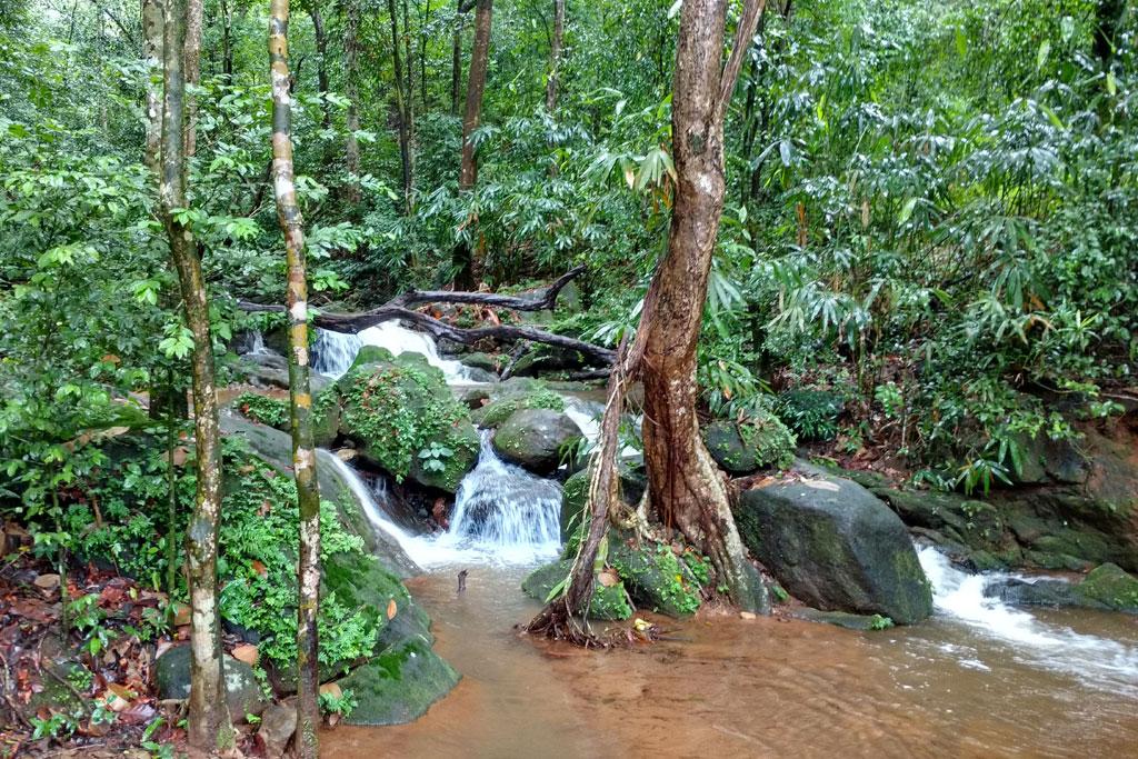 Small rivulet at Thommankuthu | Thommankuthu