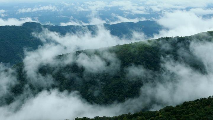 The Magical Clouds