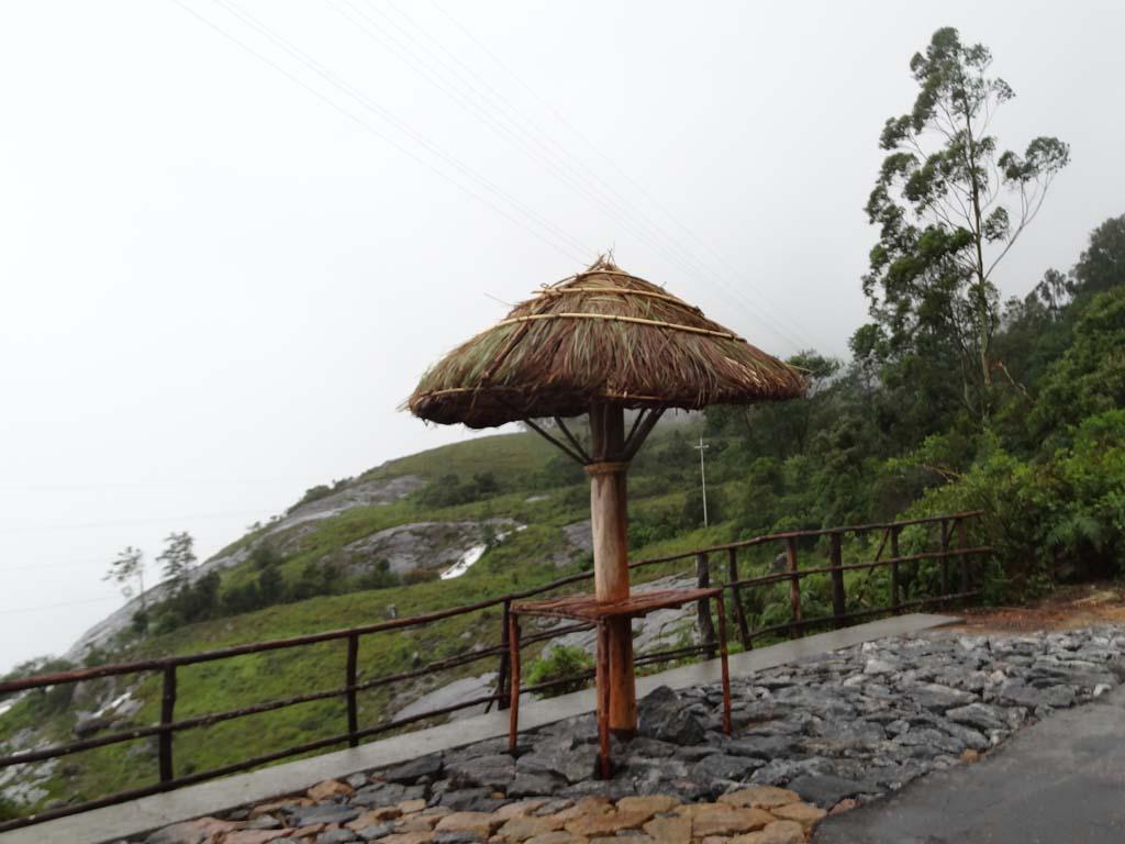 The last halt | Eravikulam National Park