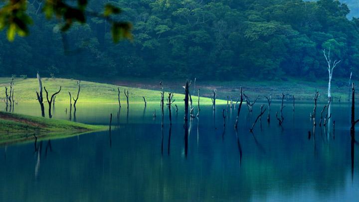 Thekkady: Your Gateway to the Wild