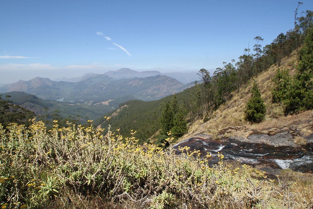 Valleys of Western Ghats | Munnar