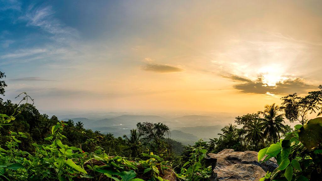 Vazhamala, Kannur