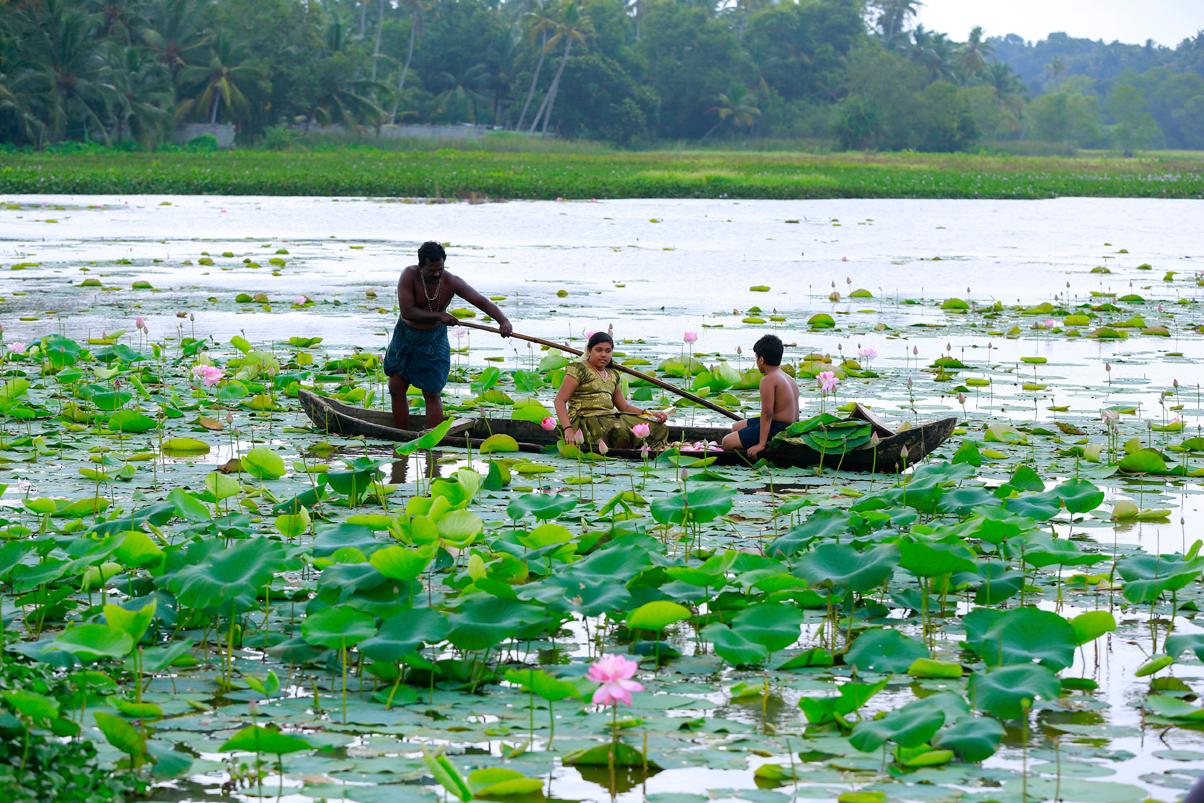 Vellayani Lake