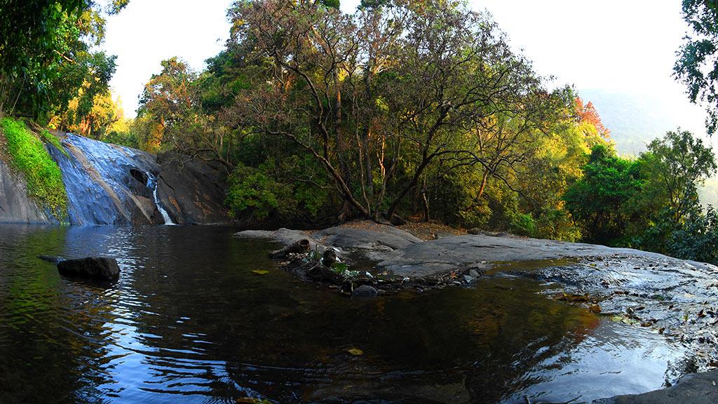 Waterfalls of Dhoni | Dhoni