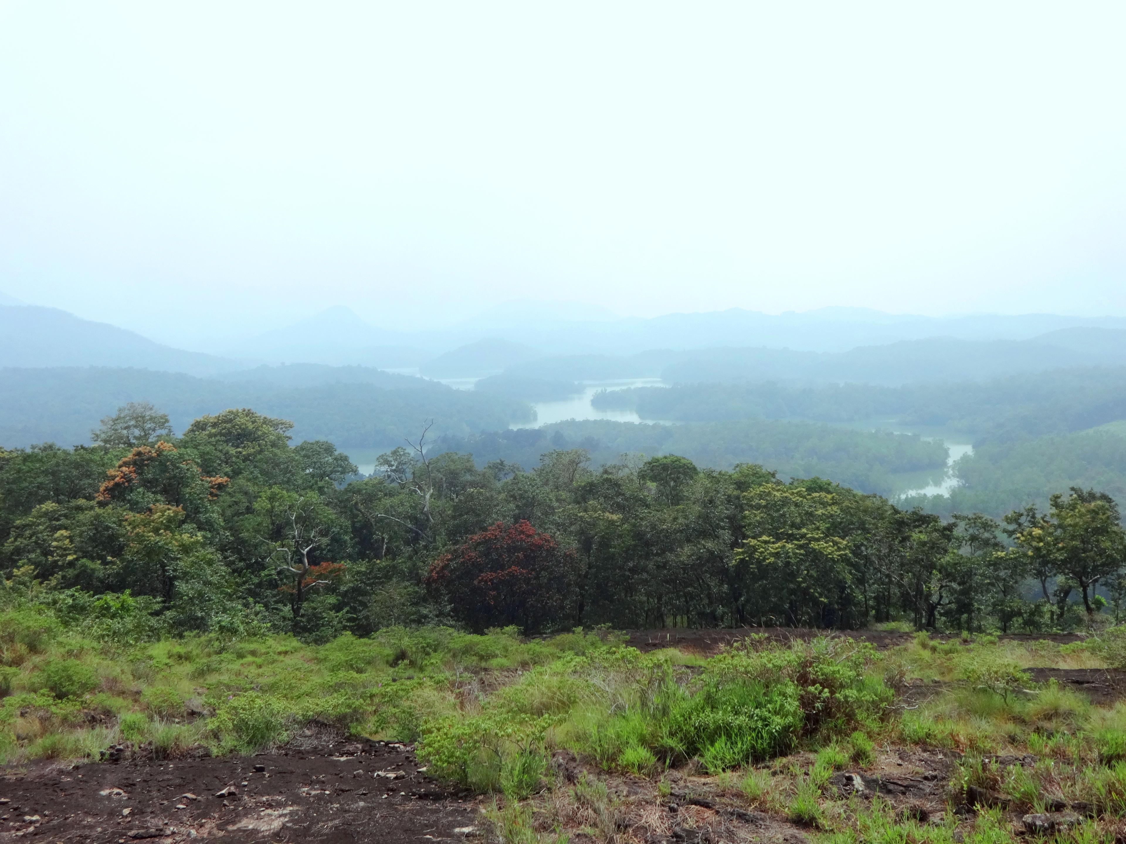 Waters of Neyyar, view from Kottur | Kottur