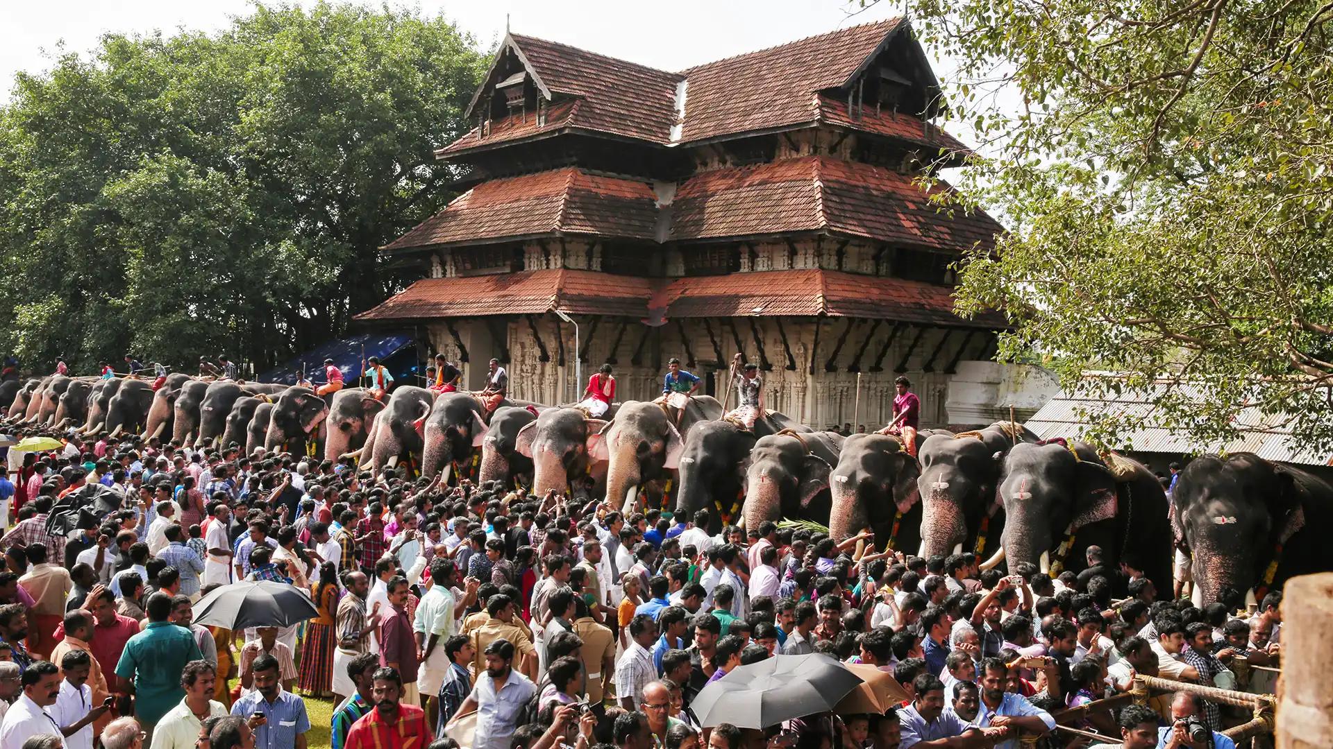 Aanayoottu at Vadakkumnathan Temple