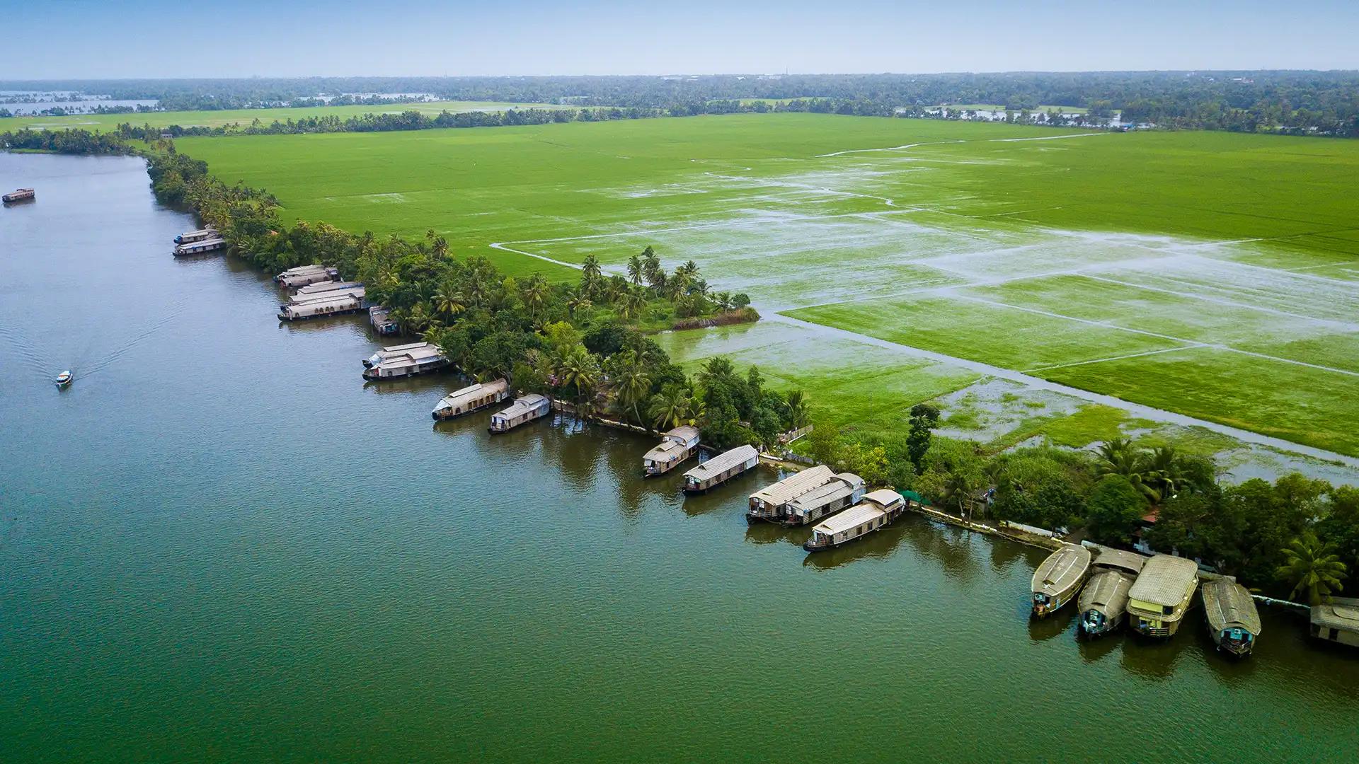 Houseboats lined-up in backwaters of Kerala