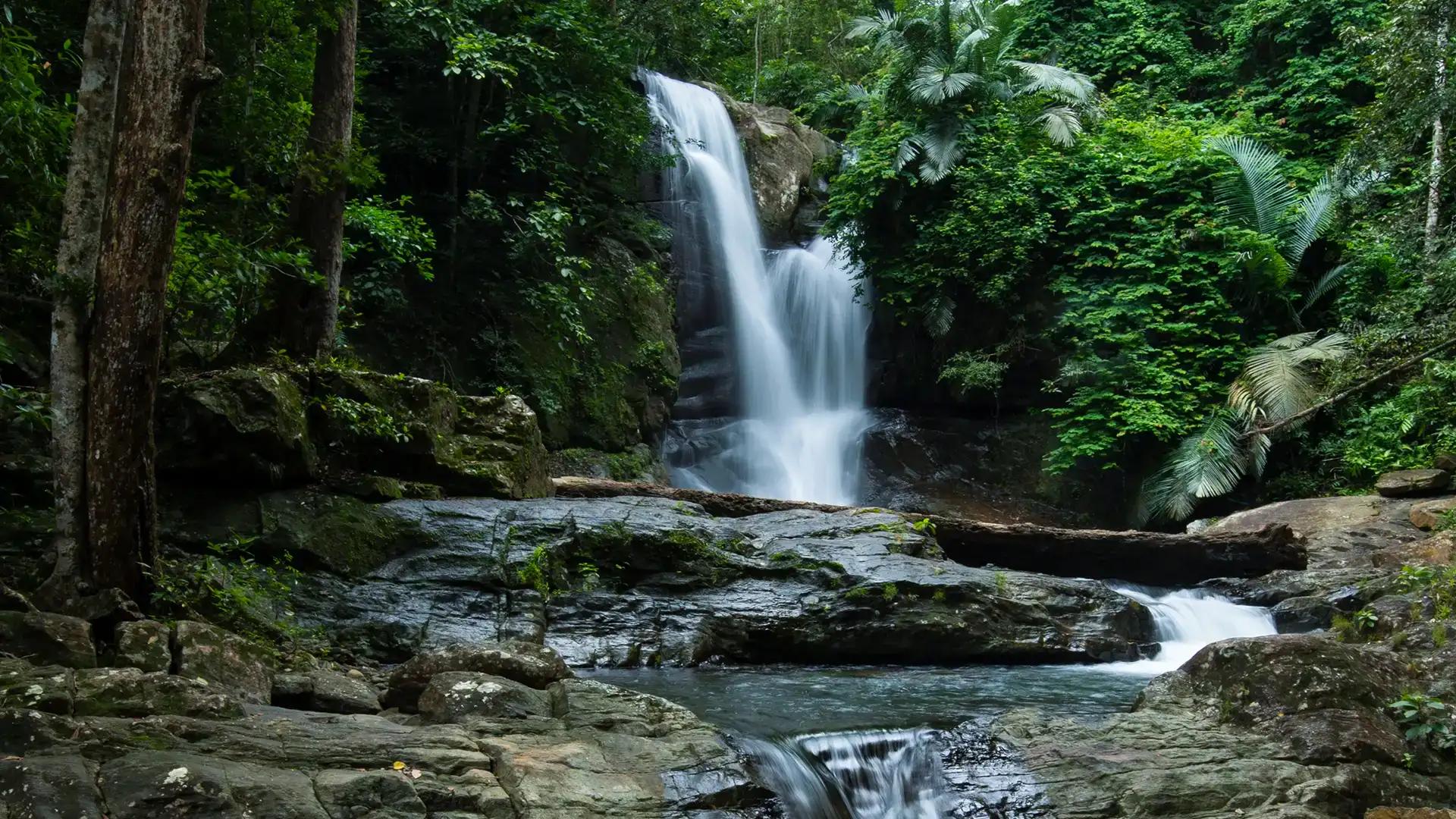 Kalakkayam Waterfalls