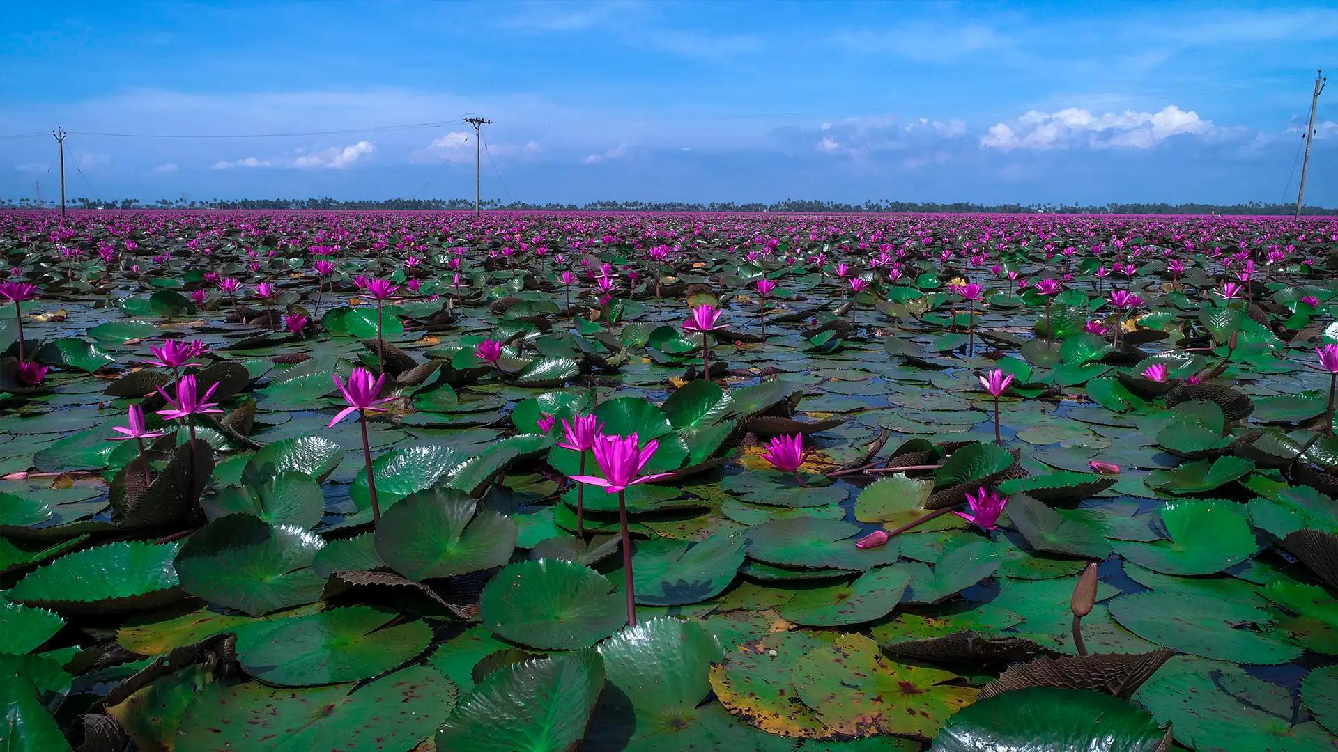 Kerala Visuals