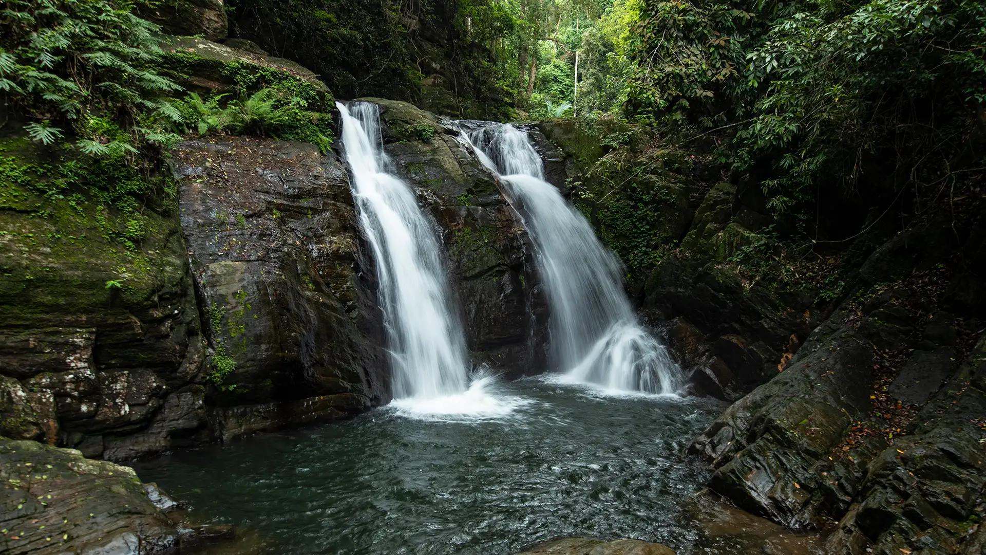 Mankayam Ecotourism