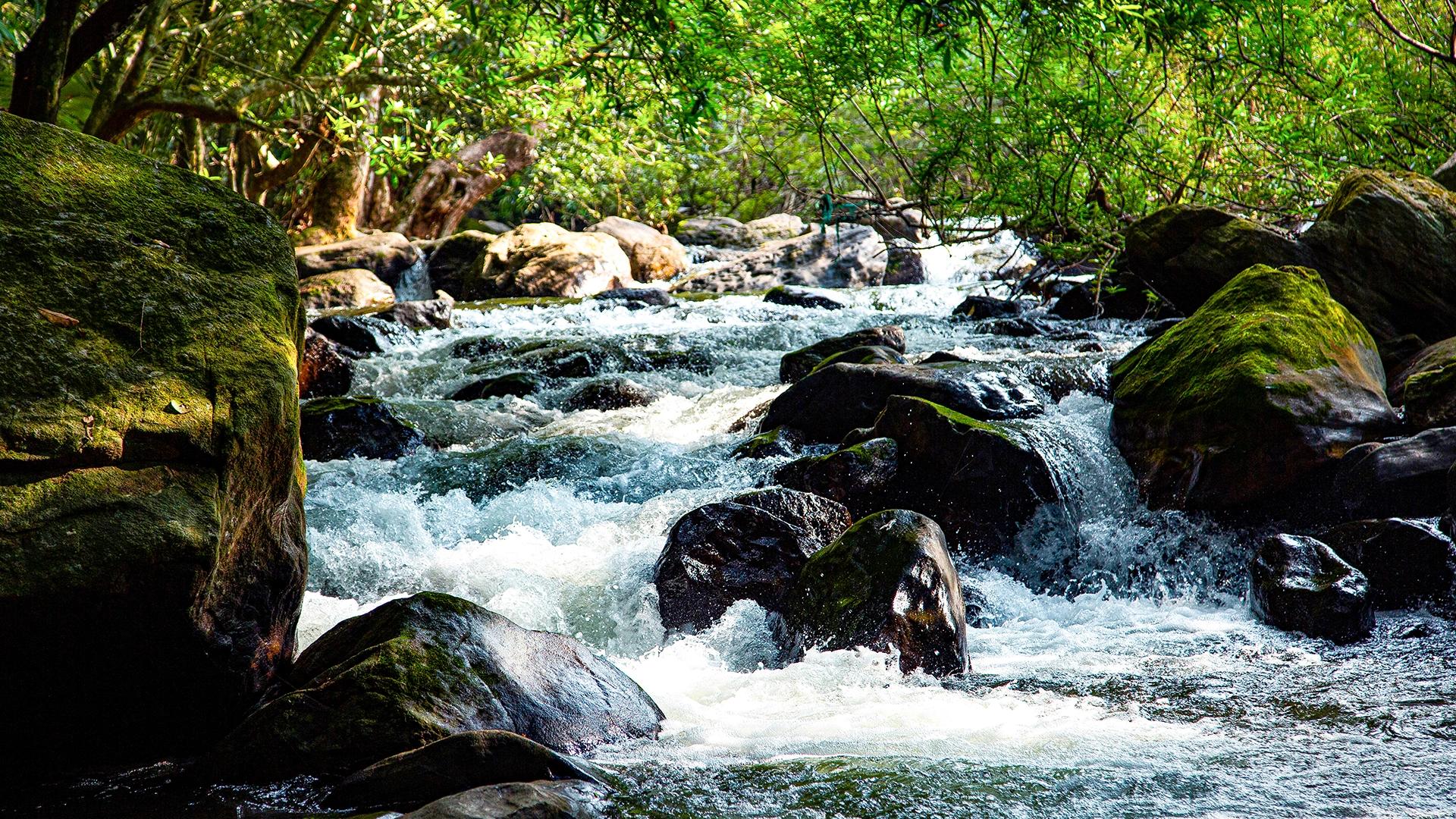 Meenvallam Waterfalls