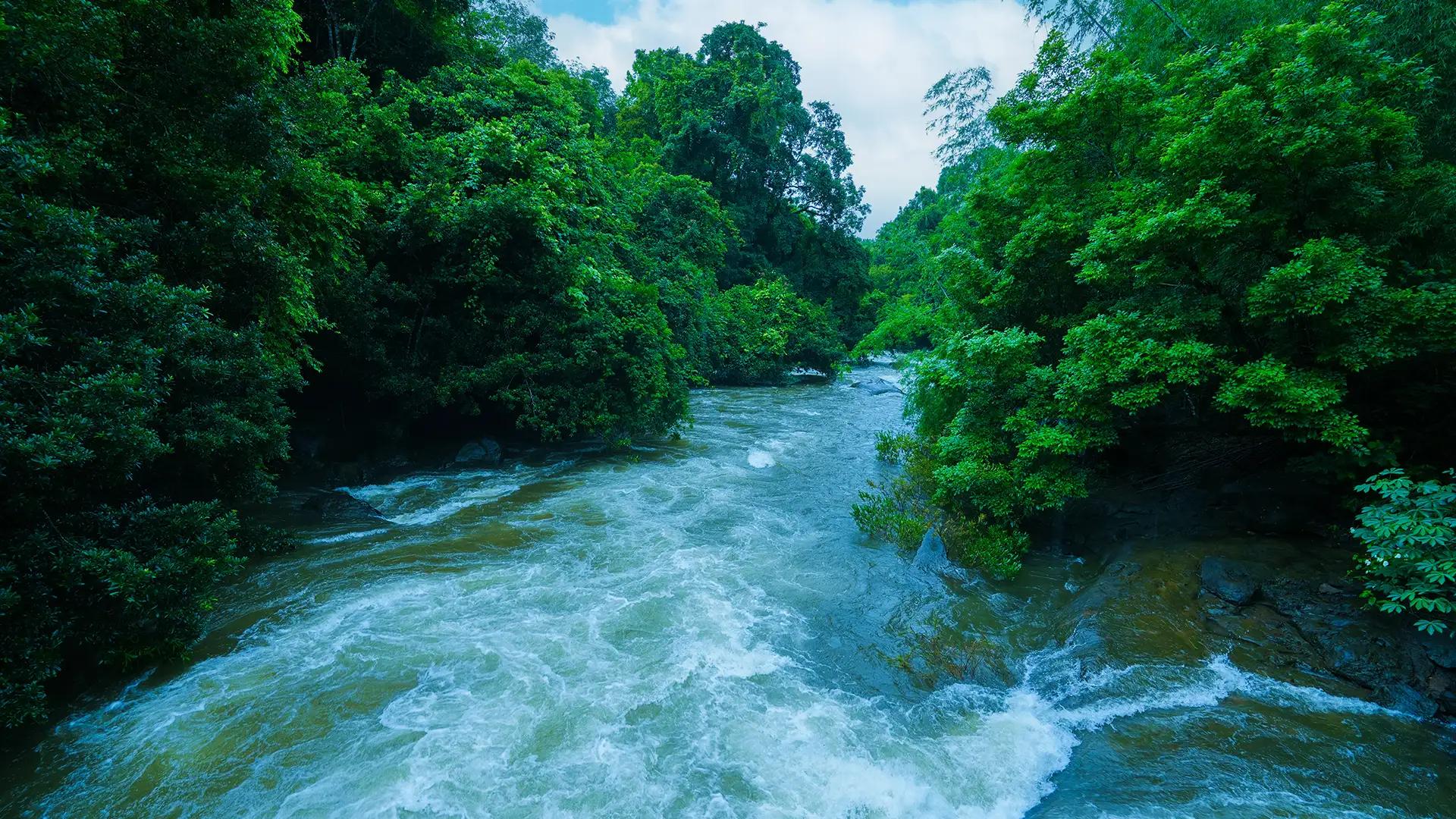 Moolepadam Waterfalls