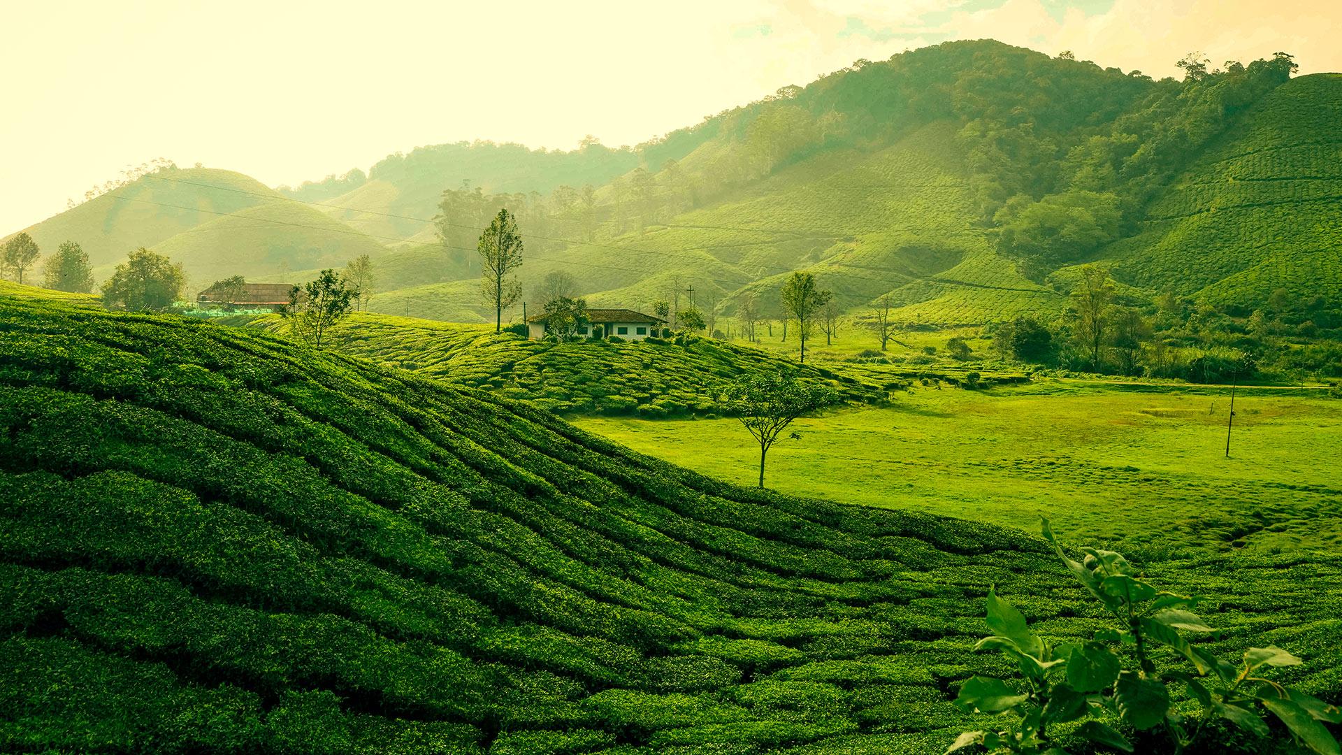 Munnar