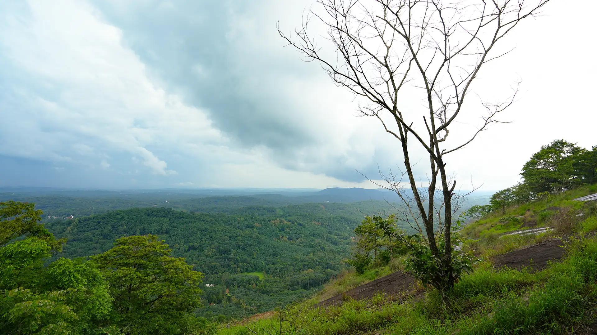 Nadukani Hills