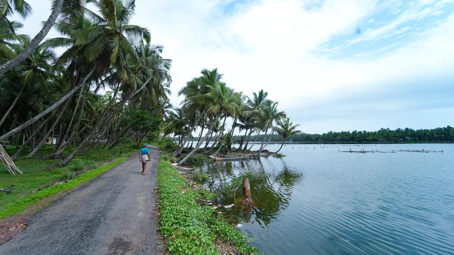 Padanna Backwaters