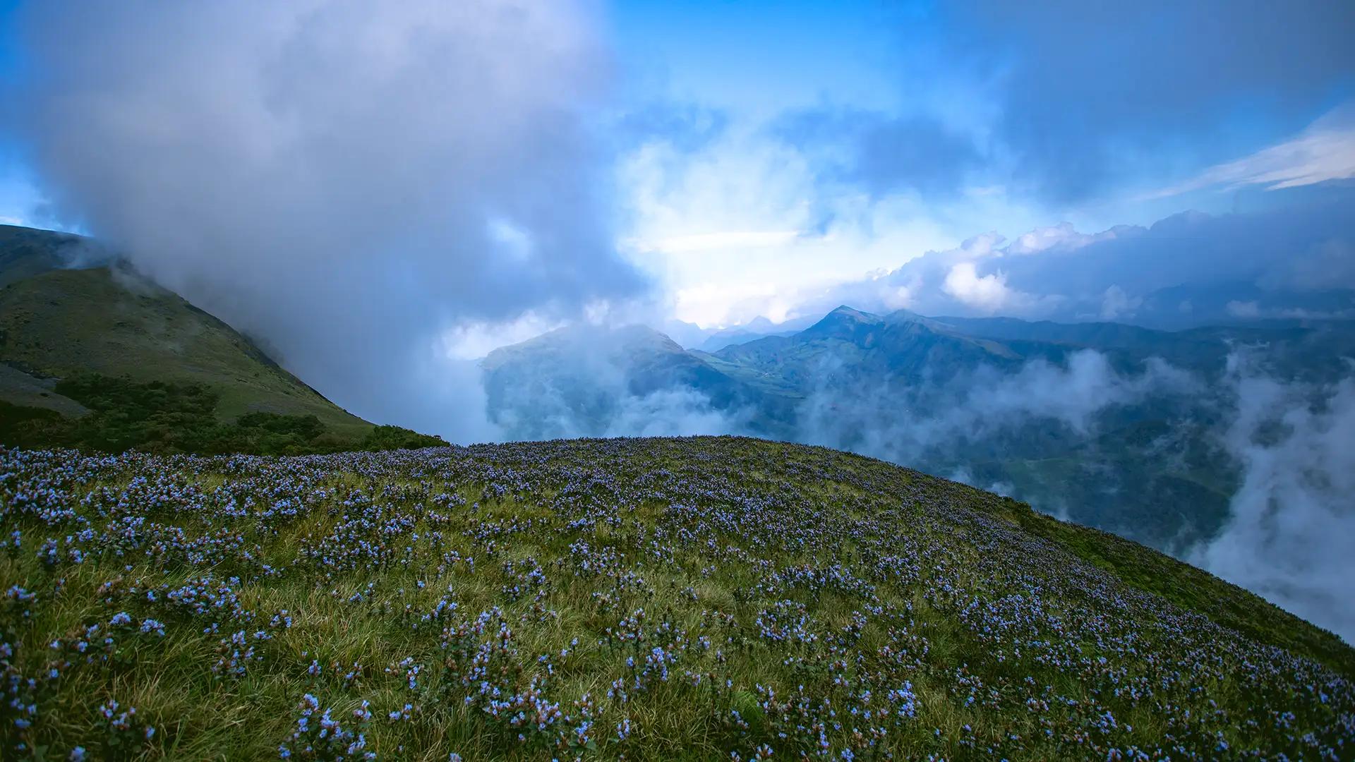 Rajamala Hills