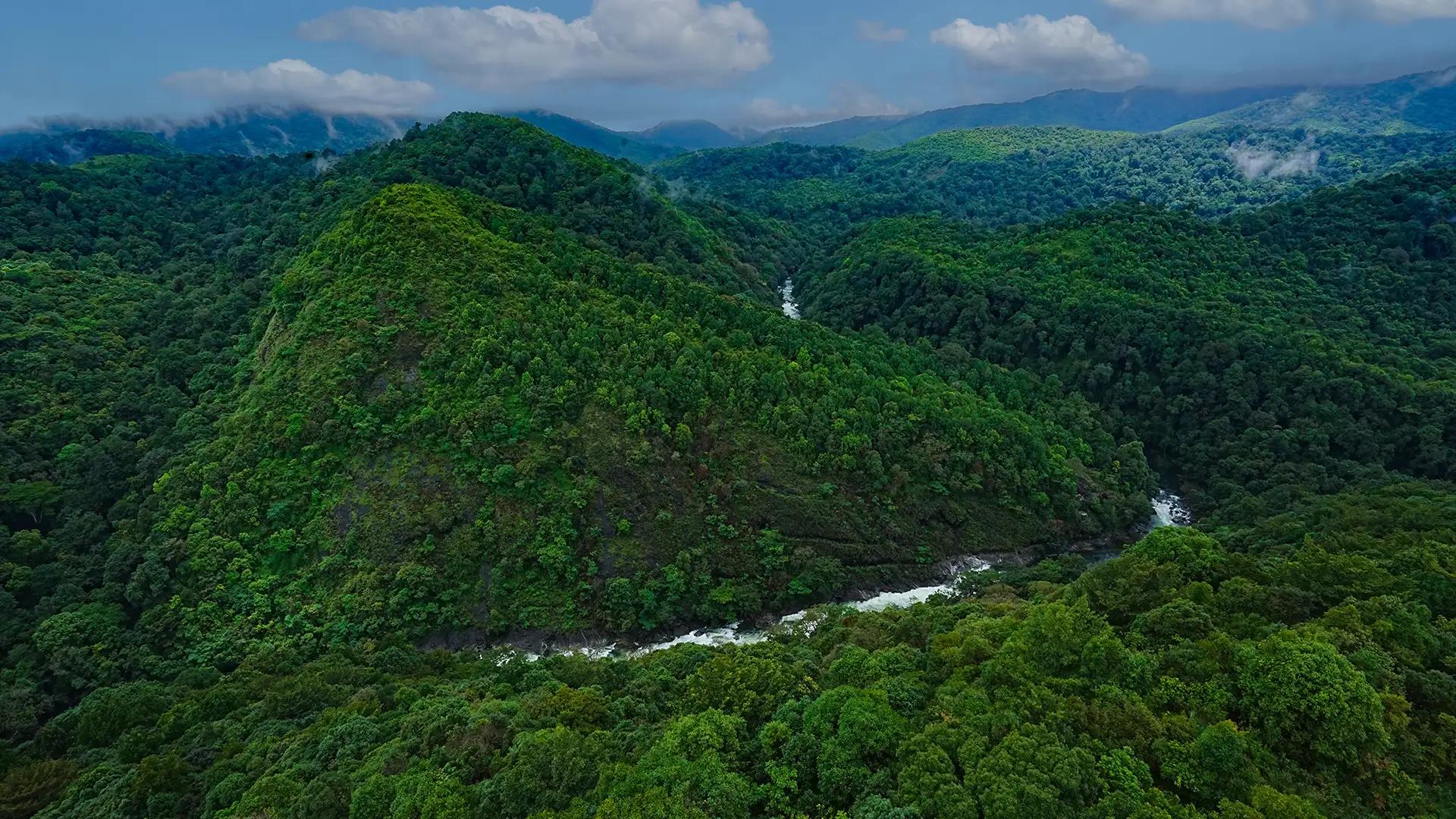 Silent Valley National Park