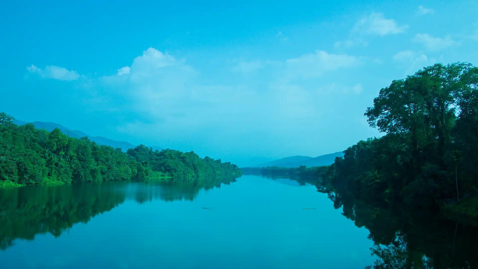 Thattekkad's Serene Landscape