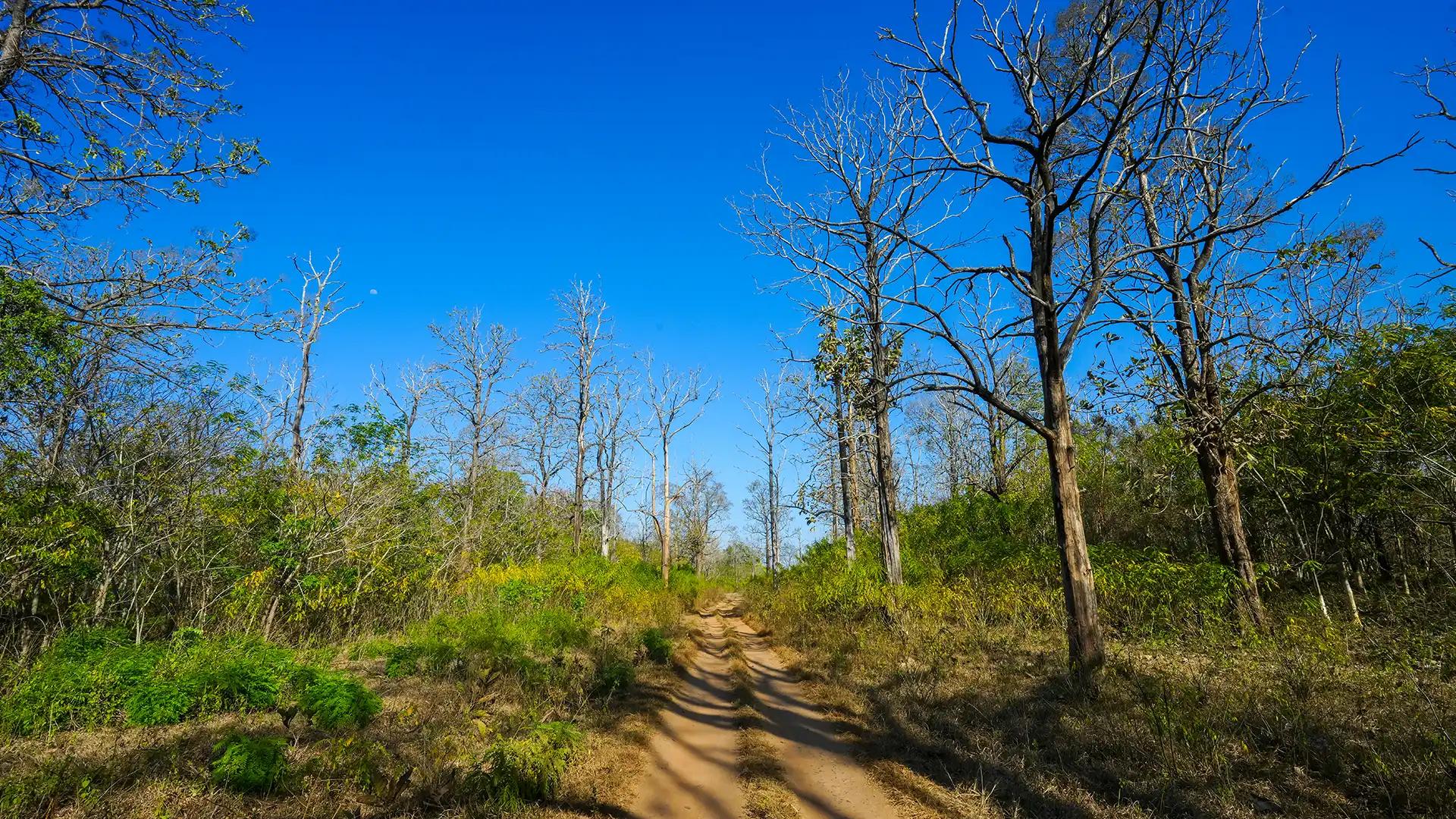 Tholpetty Wildlife Sanctuary