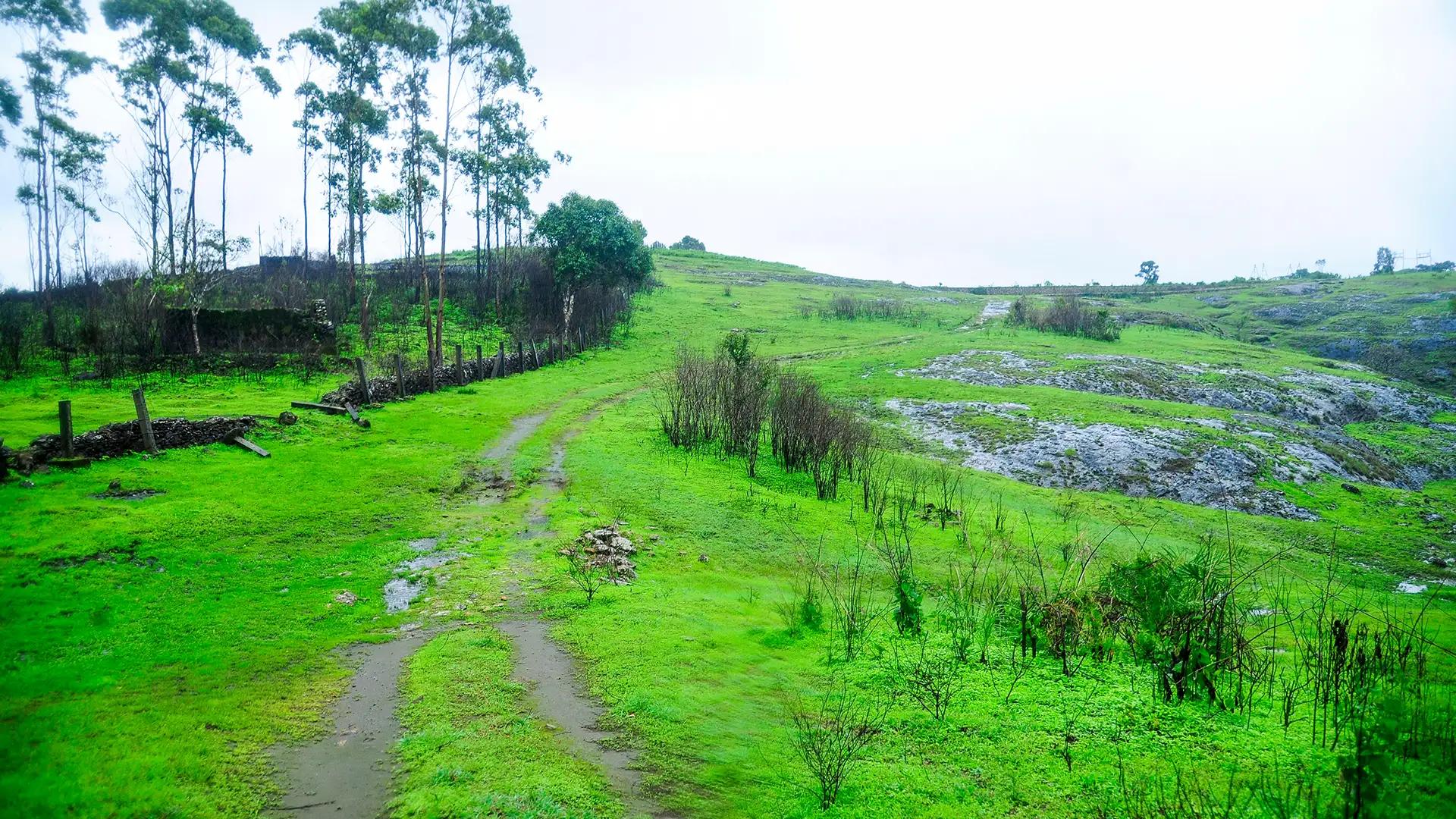 Thrissanku Hills