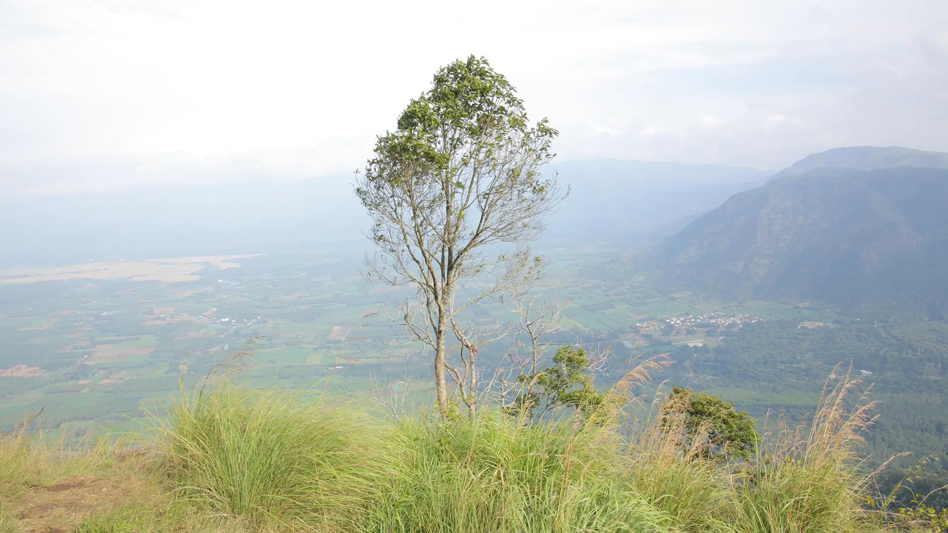 Valiyapara view-point