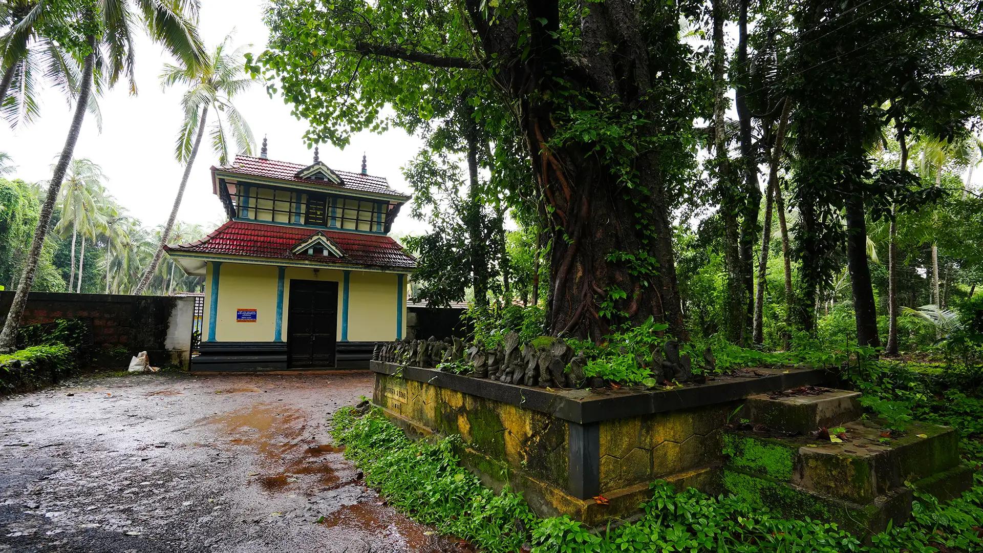 Vellamassery Garudan Kavu