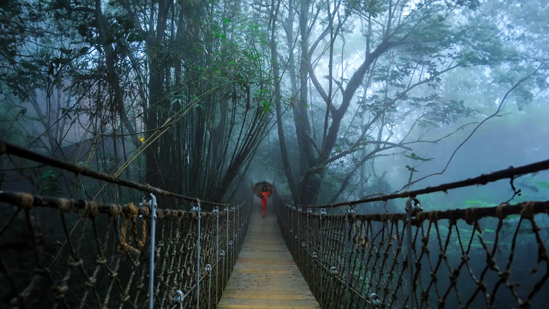 Vythiri Hill Station