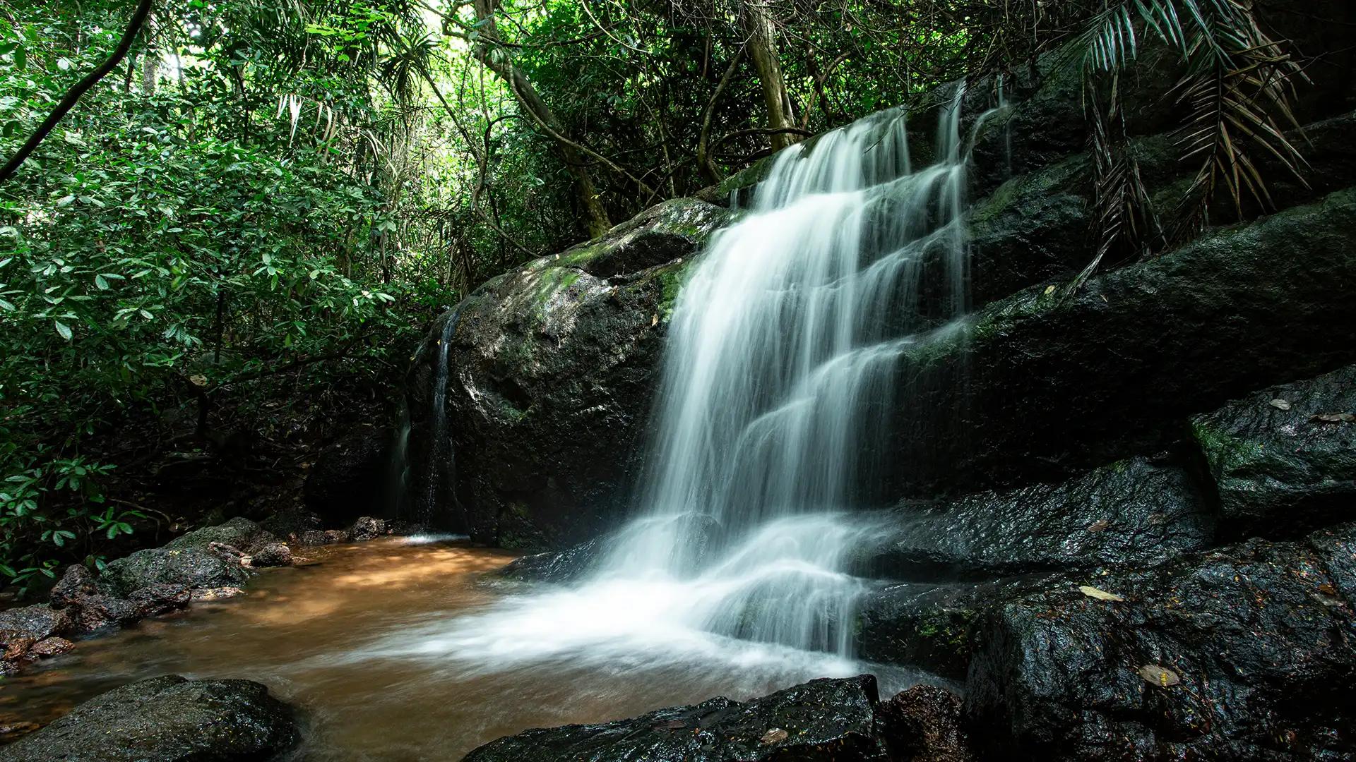 Waterfalls