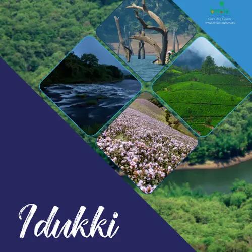 Idukki, Lush, Lofty and Luscious