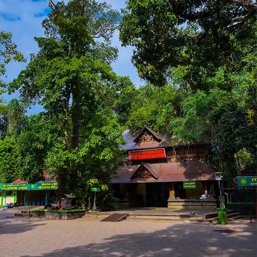 Mannarasala Sree Nagaraja Temple