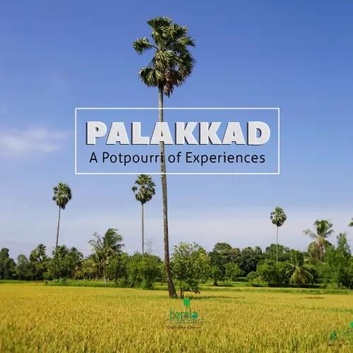 Palakkad, A Potpourri of Experiences